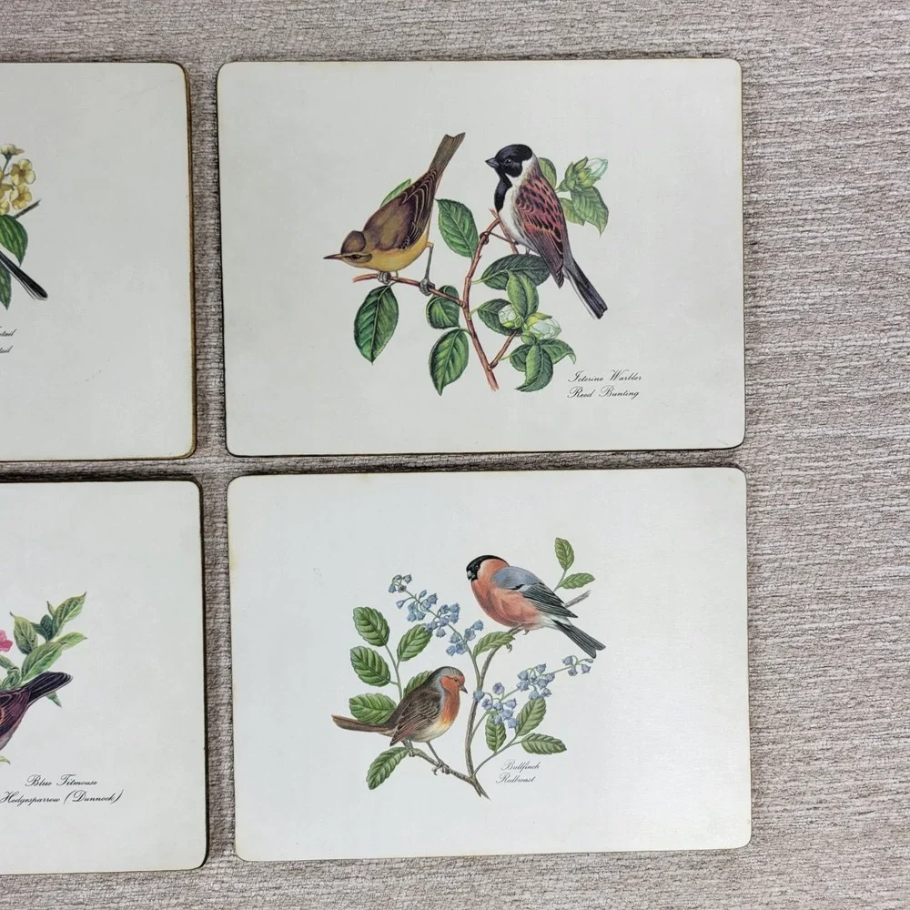 VTG Lady Clare Bird Luncheon Placemats Set 4 Felt Back England Warbler Bunting